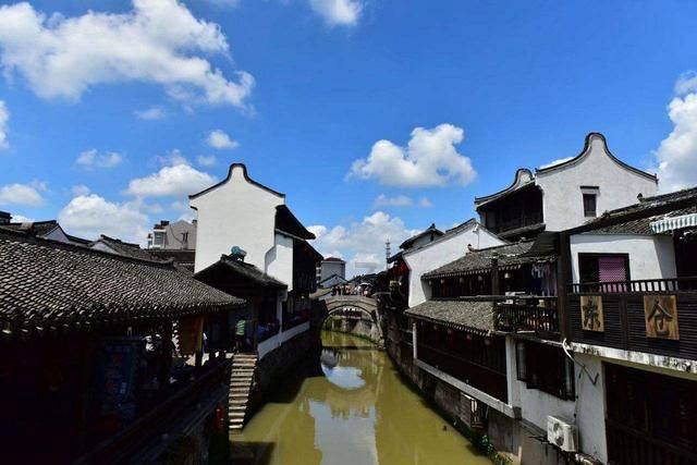 拯救精灵的土地9